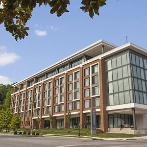 The Highlander At Radford, Tapestry Collection By Hilton